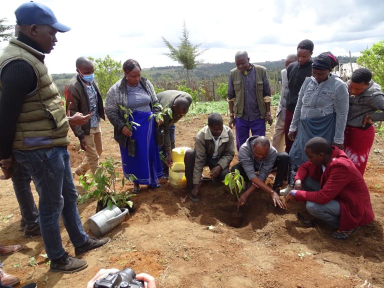 Training on fruit tree growing Credit: EAWLS