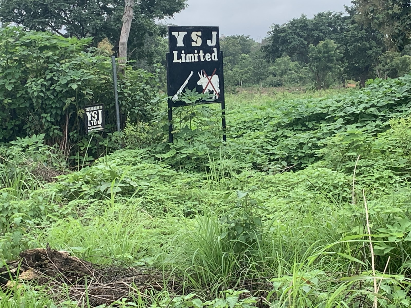 Image: Farmers in the Oke-Ogun area of Southwest now erect signposts threatening to shoot encroaching cows.